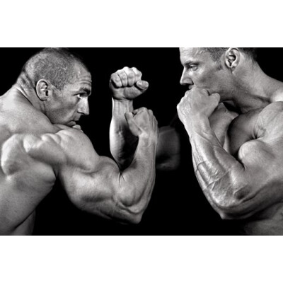 TESTOSTERON - Testosteron: Einfluss auf Muskeln, Gesundheit und natürliche Steigerung | Sportinax